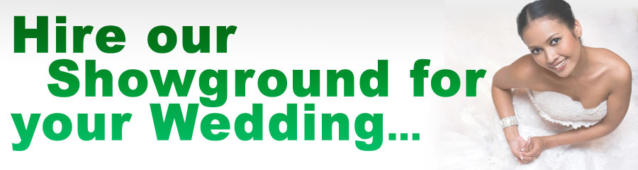 Css Template Preview